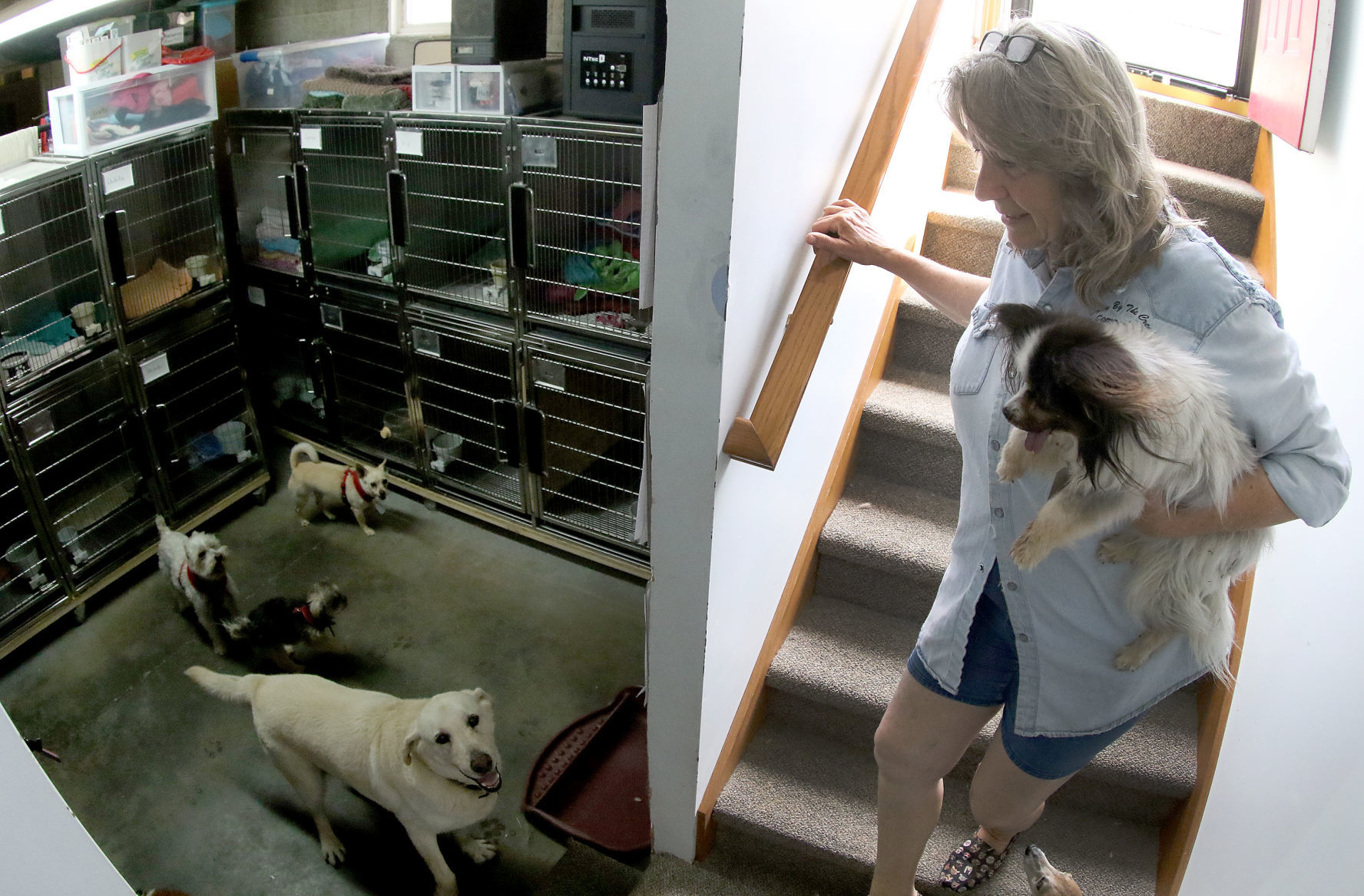 060518-qct-animal-sanctuary-004